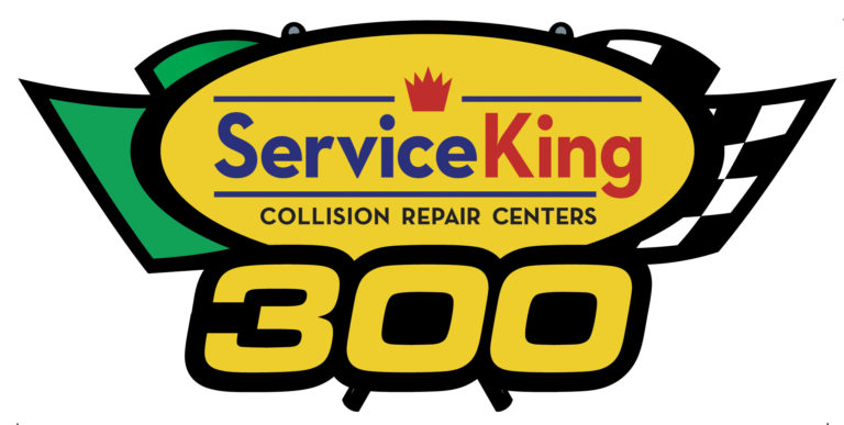 Service King 300 logo